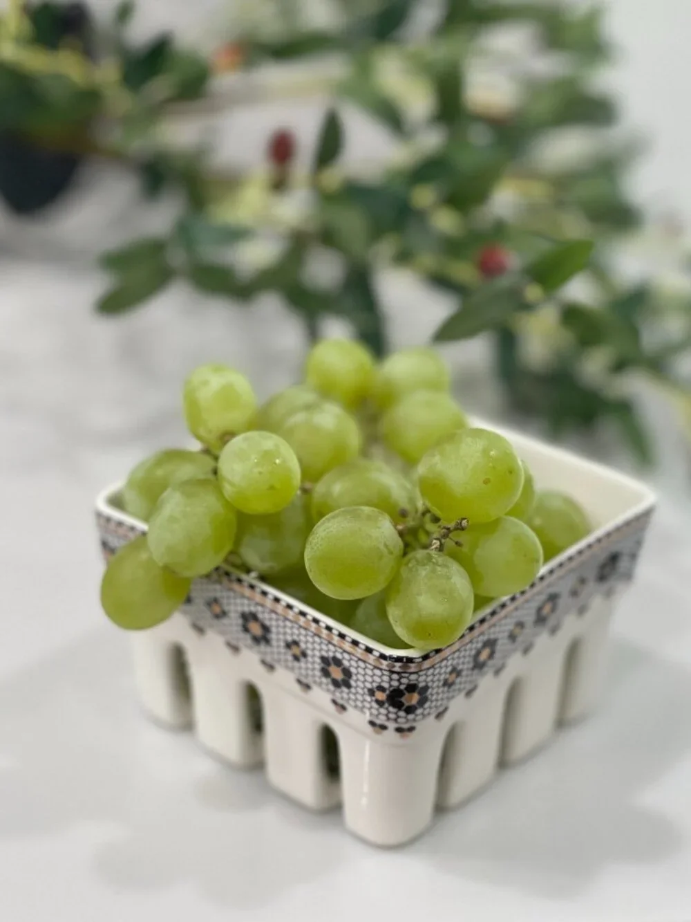 Anthropologie Bistro Tile Mon Chéri Berry Basket-NEW